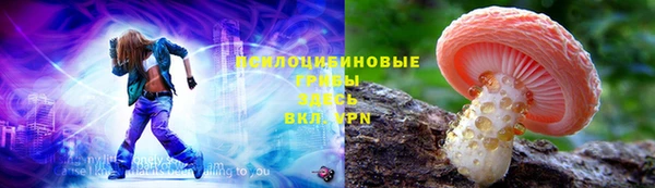 СК Абдулино