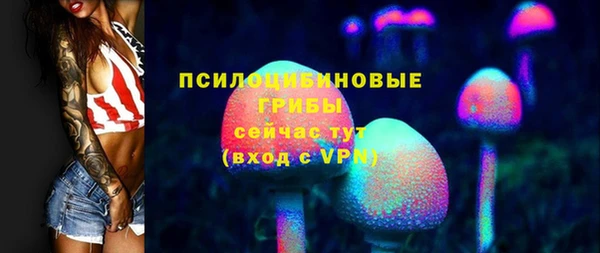 гидра Алексин