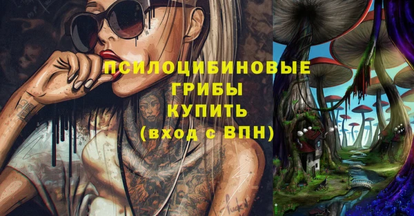 стаф Абинск