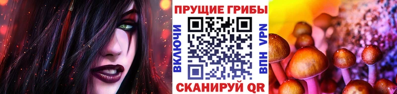 Псилоцибиновые грибы мицелий  Алексин 