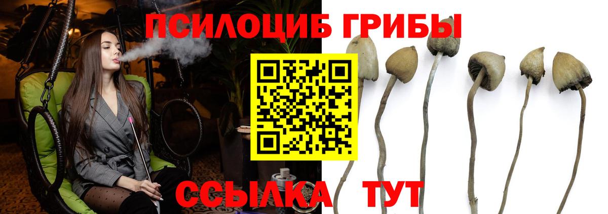 Галлюциногенные грибы Cubensis Алексин